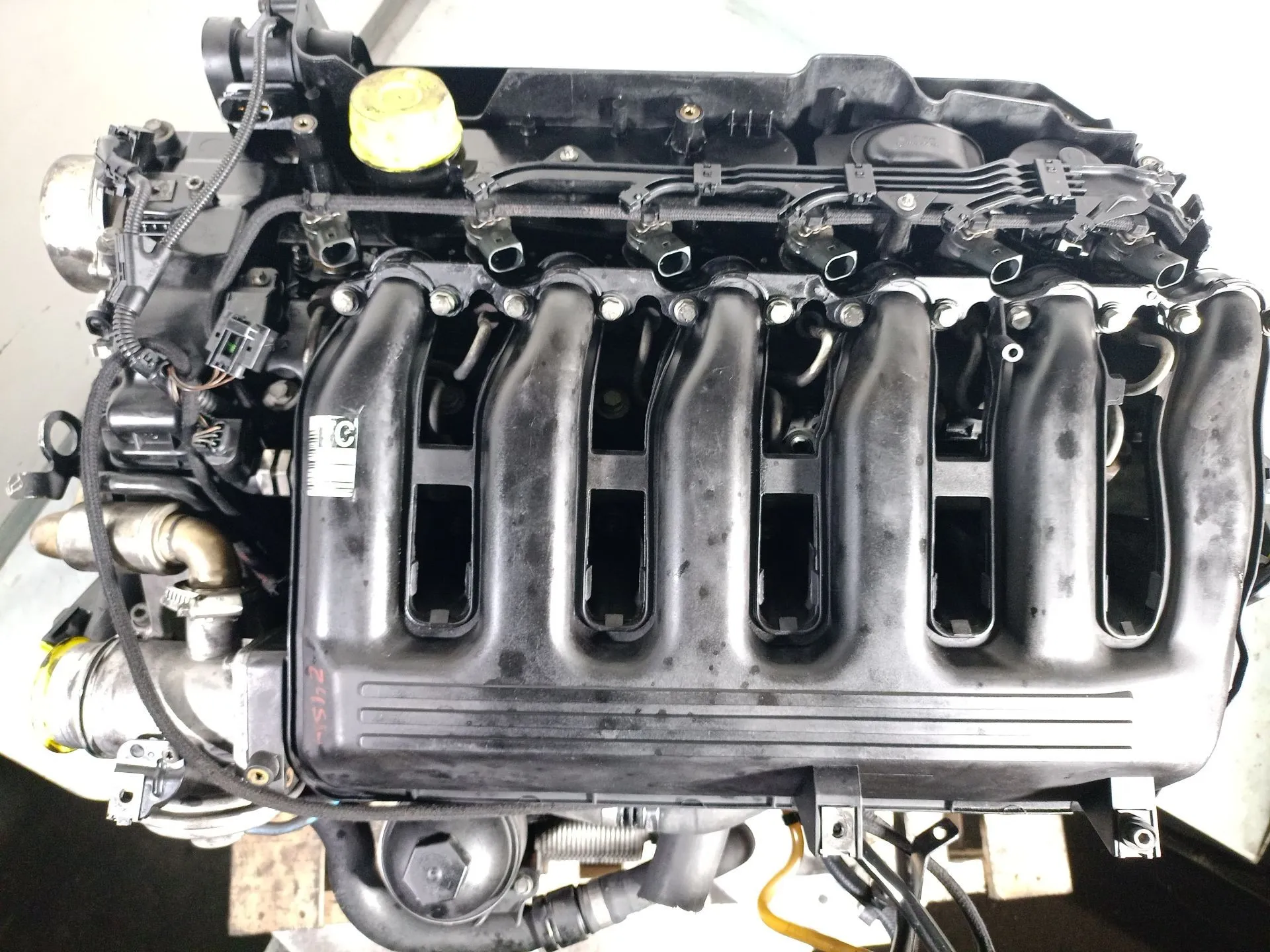 11007790147: Motor voor BMW X5 (E53) - Afbeelding 3